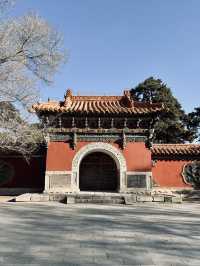 🇨🇳 선양 시민들의 휴식처 북릉공원