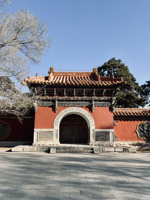 🇨🇳 선양 시민들의 휴식처 북릉공원 🇨🇳 선양 시민들의 휴식처 북릉공원