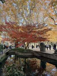 คู่มือเที่ยวเซี่ยงไฮ้ 6 วัน ในวันหยุยาว