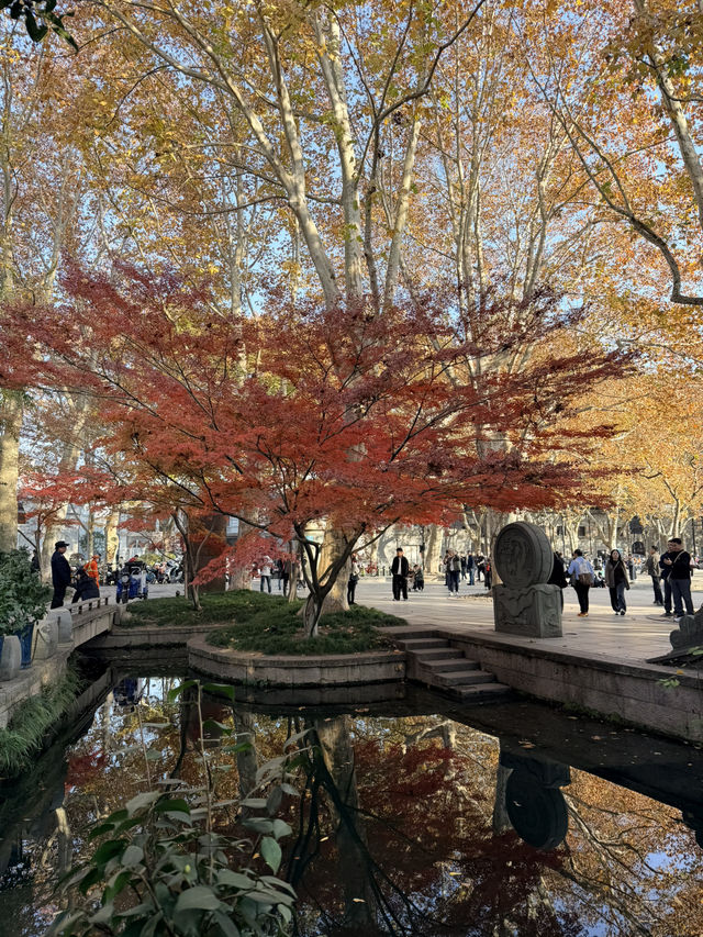 คู่มือเที่ยวเซี่ยงไฮ้ 6 วัน ในวันหยุยาว คู่มือเที่ยวเซี่ยงไฮ้ 6 วัน ในวันหยุยาว