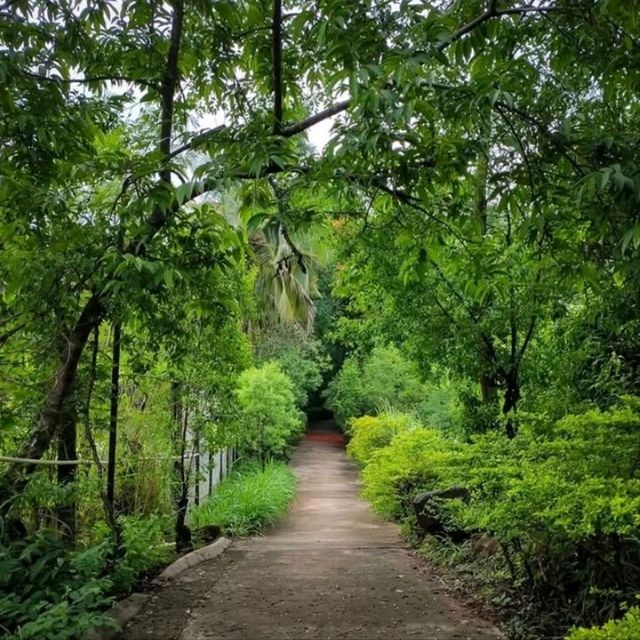 art of living banglore