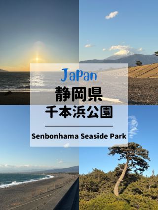 🇯🇵静岡県おすすめ観光スポット　千本浜公園
