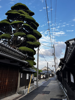Imaicho — A Small, Easy Stop Between Trains 🚶‍♀️