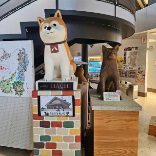 秋田犬の郷｜日本の国犬との心温まる旅