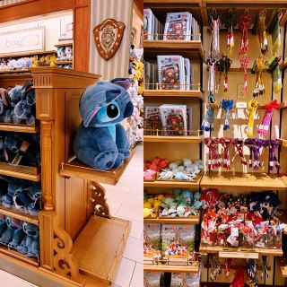 A Special Day at Disney World.