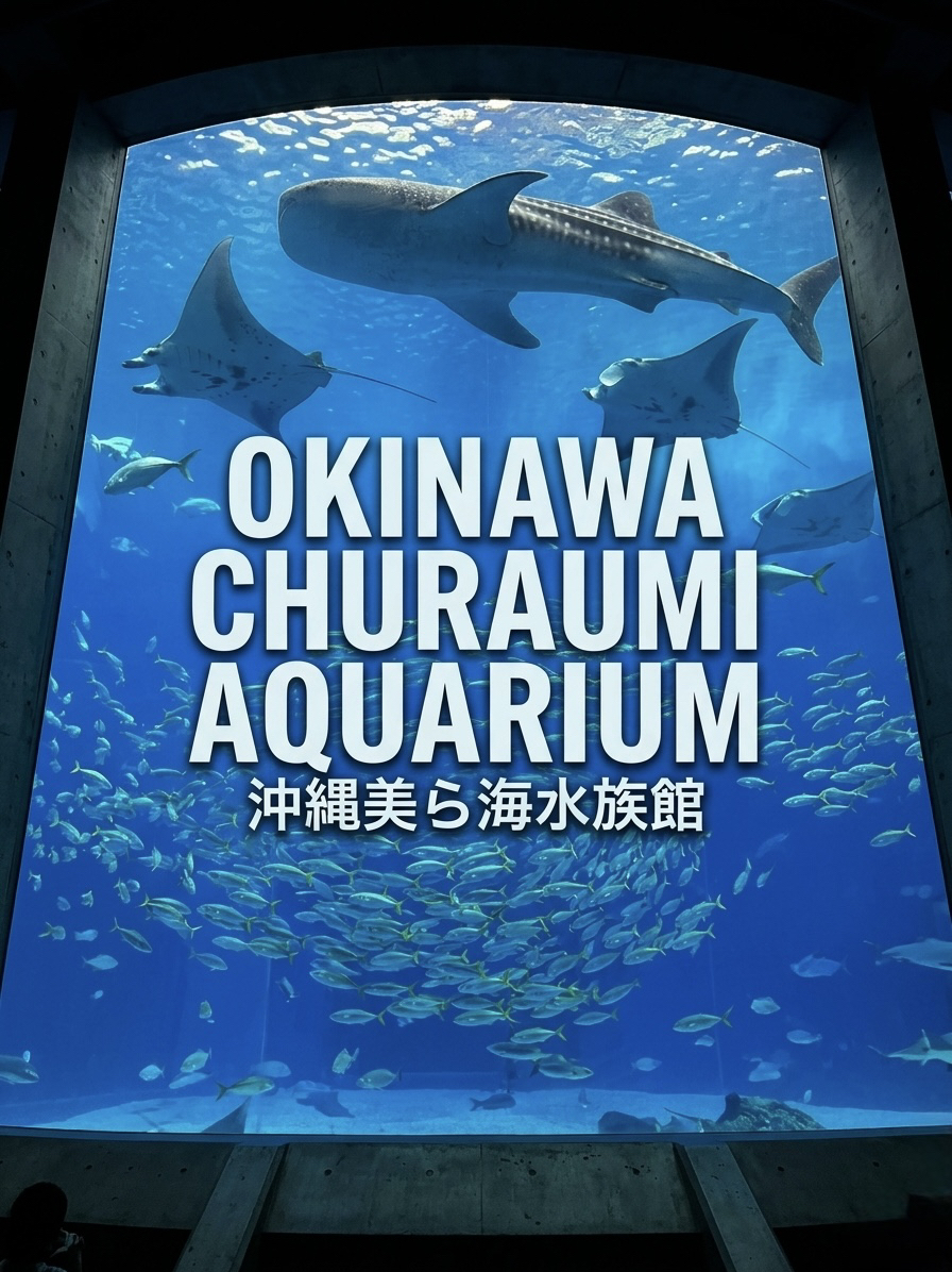 Scale Over Spectacle: A Professional Audit of Okinawa Churaumi Aquarium