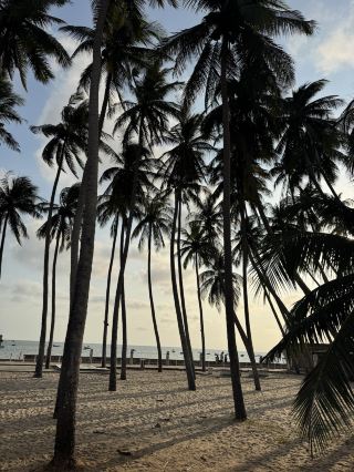 🌴 Bungalow stay in Mui Ne for $35 a night