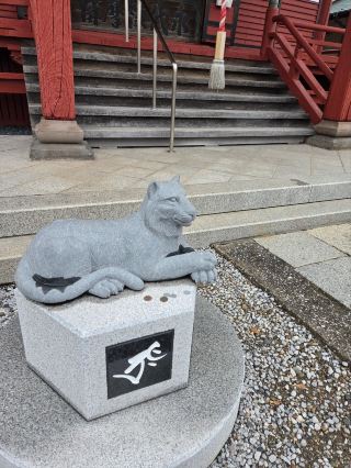 [Saitama, Misato] The peaceful grounds of the Hikokura Kokuzo-do Temple offer a calming atmosphere.