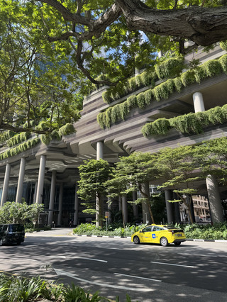 Singapore City Walk: A Relaxing Stroll Through the Heart of Singapore