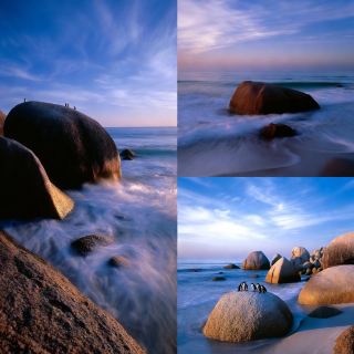 A Beach Night With a Wild Side