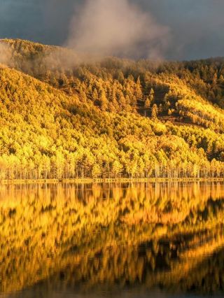 🍂 Aershan in Autumn | My Heart Is Already Somewhere in Inner Mongolia