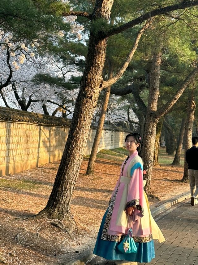 내가 경주 npc! 관심을 한번에 받을 수 있는 경주 신라복