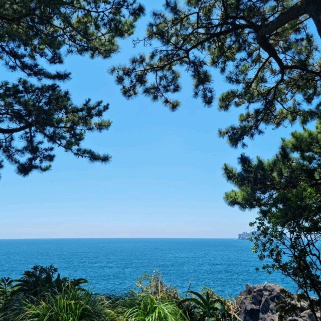 💙파워에이드 그 자체의 바다, 외돌개💙