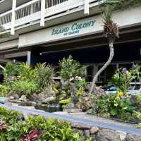 Lovely hotel in Waikiki 