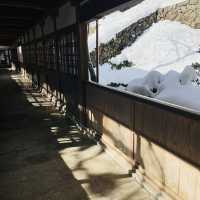 【福井県🇯🇵 大本山永平寺】世界遺産のお寺へ☺️