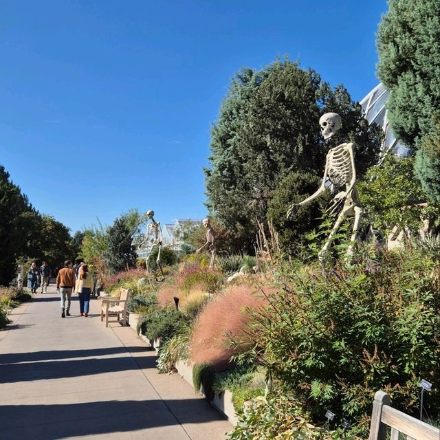 Denver is a wondurful city Denver is a wondurful city