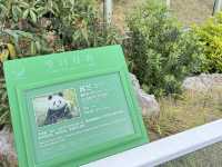 Chengdu Research Base of Giant Panda Breeding