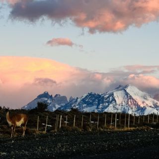 Step into the Kingdom of God - Torres del Paine National Park