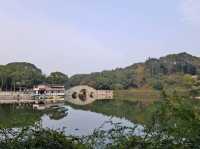 君山島必去景點一日遊🌳