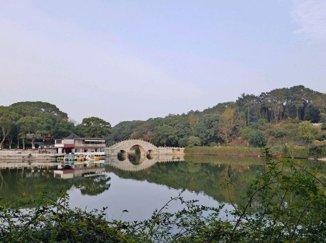 君山島必去景點一日遊🌳 君山島必去景點一日遊🌳