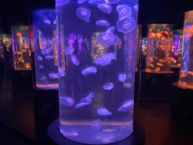 Manila Ocean Park 🐟