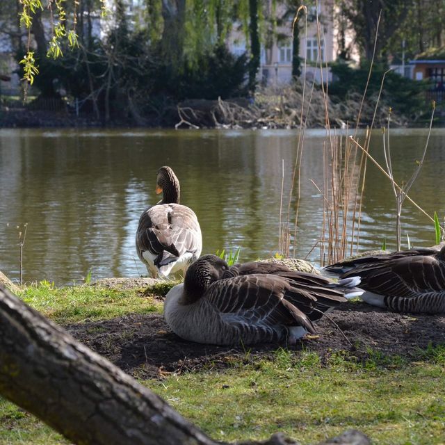 Tierpark … Wonderful park Greifswald