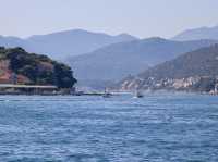 Beach Adventures and Seaside Splendor