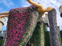 Miracle Garden Dubai 🗺️