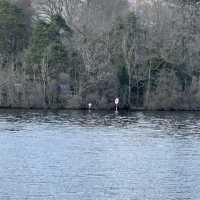 Sailing through paradise: Windermere 