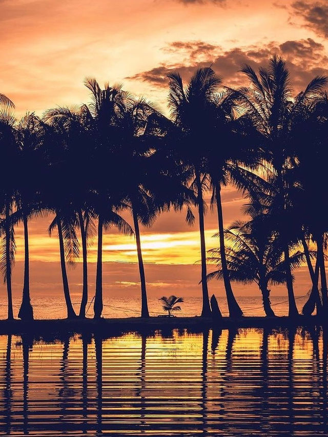 태국: 다양하고 매력적인 관광지 🌴