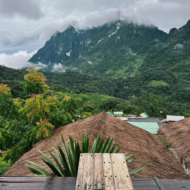 The beauty of Doi Luang 🇹🇭 
