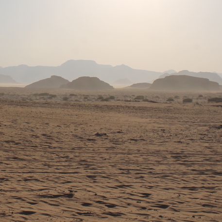 Wadi Rum Experience 🌵🐪