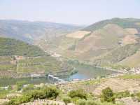 🇵🇹杜羅河谷Douro valley｜遊船賞巨幅葡萄園美景