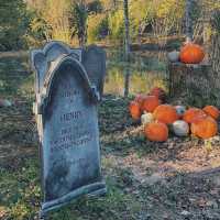 Pumpkin Patch Perfection: Halloween at Tulleys Farm