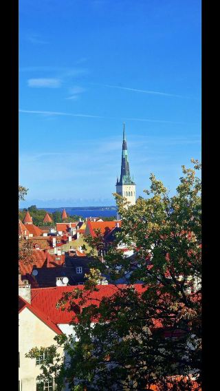 Tallin Estonia Octomber 2024