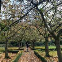 Bolling Hall in Bradford a surprise