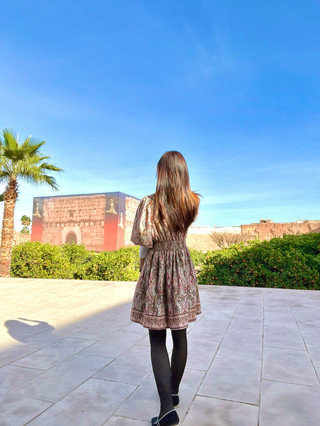El Badi Palace (Palais El Badi)