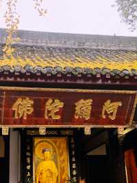 A Tranquil Escape: Exploring Wenshu Monastery in Chengdu 🍃