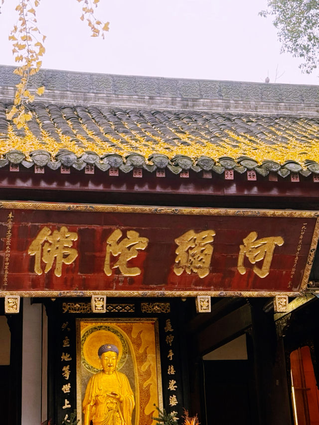 A Tranquil Escape: Exploring Wenshu Monastery in Chengdu 🍃