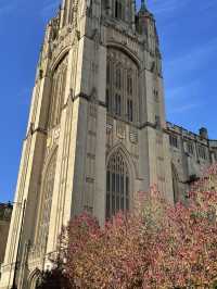 ⚓ Bristol: A City That Flows with Creativity and Heritage