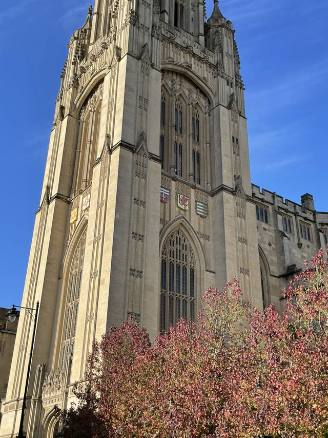 ⚓ Bristol: A City That Flows with Creativity and Heritage