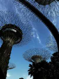 Singapore pros and cons 