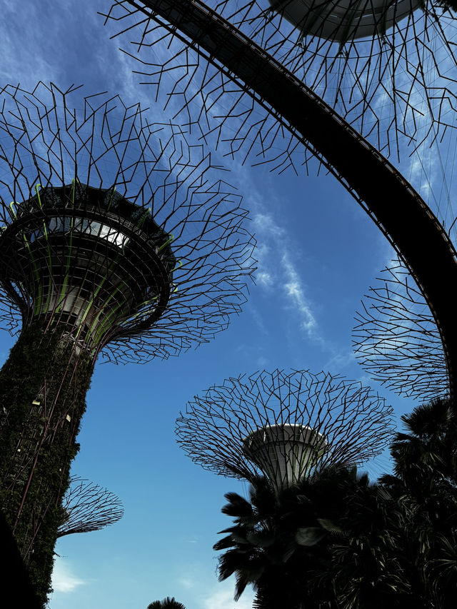 Singapore pros and cons 