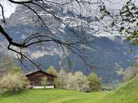 4 Days in Swiss
