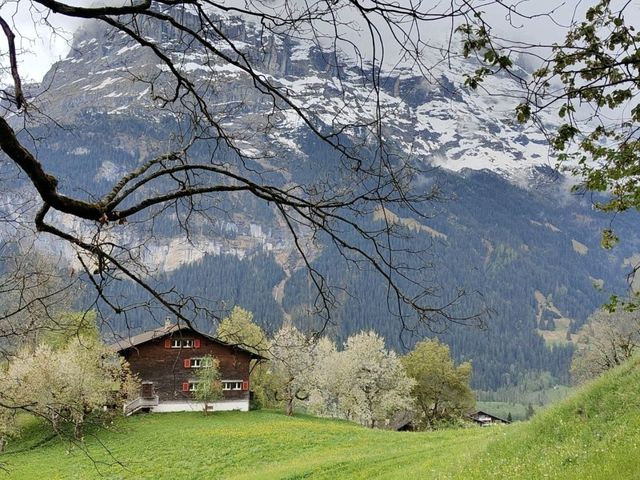 4 Days in Swiss