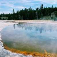🥾 Top Hikes in Yellowstone National Park 🌲🦌