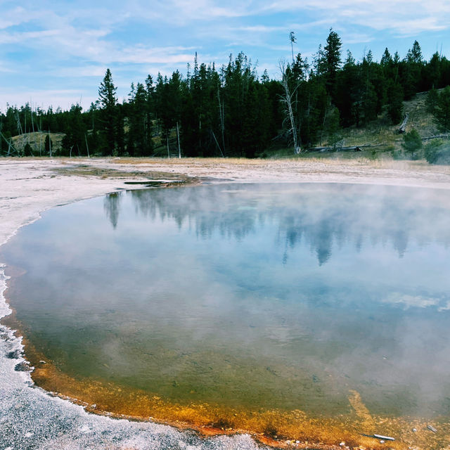 🥾 Top Hikes in Yellowstone National Park 🌲🦌
