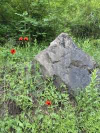 Hiking in Halidzor, Armenia is a great adventure for nature lovers and outdoor enthusiasts.