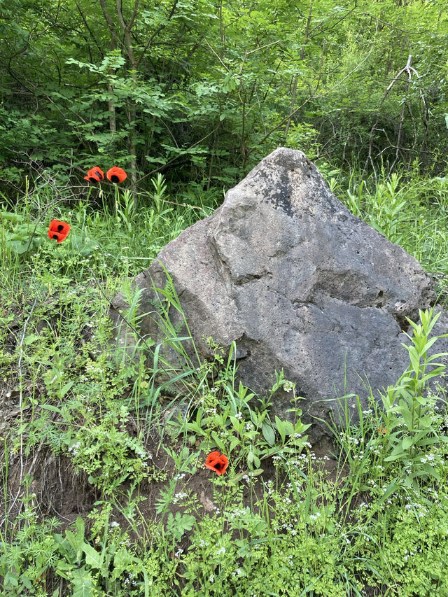 Hiking in Halidzor, Armenia is a great adventure for nature lovers and outdoor enthusiasts.