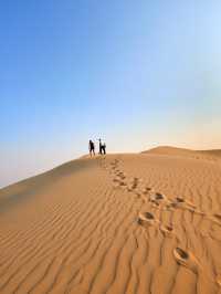 MUST-DO in DUBAI: a DESERT experience